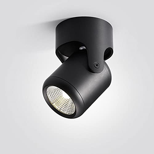 NTALJC Spotlight a soffitto regolabile, riflettore dell'accento per montaggio superficiale, luce a parete interna ruotabile, illuminazione della galleria, angolo di raggio a 24 °