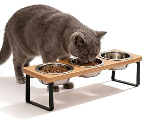 3er Set Katzennapf Erhöht, Futternapf Katze, 15° Gekippte Futterstation Katzen Hundenapf, Hundenapf Erhöht, Futterstation Katze Mit 3 Edelstahl Schüsseln Für Kleine Hunde