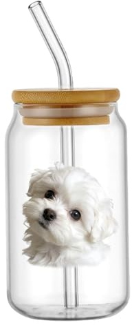 Genérico Vaso Personalizado, Vaso Aislante Personalizado con Pajita – Foto en Vidrio Borosilicato, Botella 450ml con Tapa Antifugas – Regalo, para Ella Él Cumpleaños