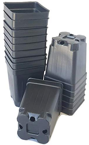 100-2.5 inch Square DEEP Black Plastic Nursery pots seedlings Plants Landmark