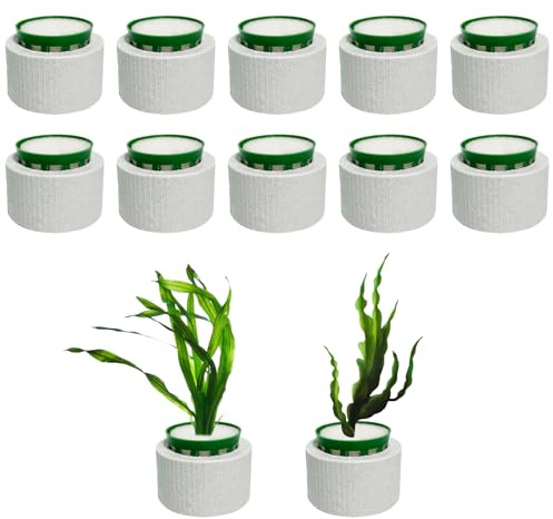 Paquete de 12 pesas para plantas de acuario, juego de anillos fijos para plantas acuáticas, anillos de cerámica antiflotación, decoración de paisaje de acuario, accesorios de pecera, 1.8 x 1.3