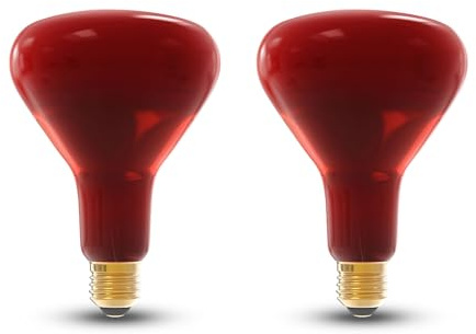 NuLoXx 2er Pack Infrarot Wärmelampe R125 250W E27 rot, 220-240V, Wäremlampe für Tiere wie Reptilien, Tieraufzucht