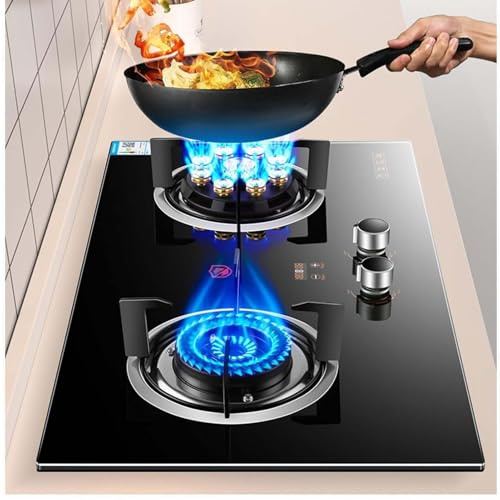 THEGA Stufa A Gas Ventilata, Fornello A Gas da Interno con 2 Fuochi, Pannello in Vetro Temperato, Fiamma Alta Temporizzata A 9 cavità da 5,0 KW/5,2 KW, Adatto per Gas Naturale/GPL(LPG)