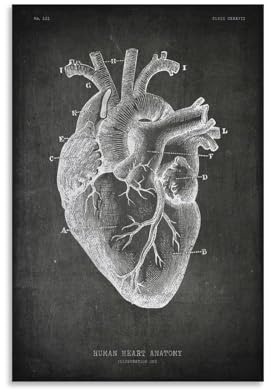 Lavagna Anatomia Cuore Umano Poster Art Poster Body Art Poster Wall Art Poster Stampe Home Decor Picture Canvas Painting Poste