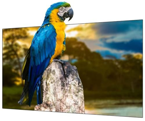 Wupro Gallery Fixed Frame Projector Screen BSP ALR with Slim Frame,Supports 4K/8K,HDR & Active 3D,92 Inches for Ultra Short Throw Projectors and Bright Natural Light Environments
