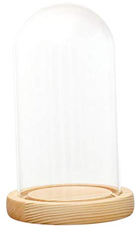 Fenteer Hochwertige Glashaube Cloche Deko Glaskuppel Glassturz Glasglocke mit Holzbasis, F 12x20cm