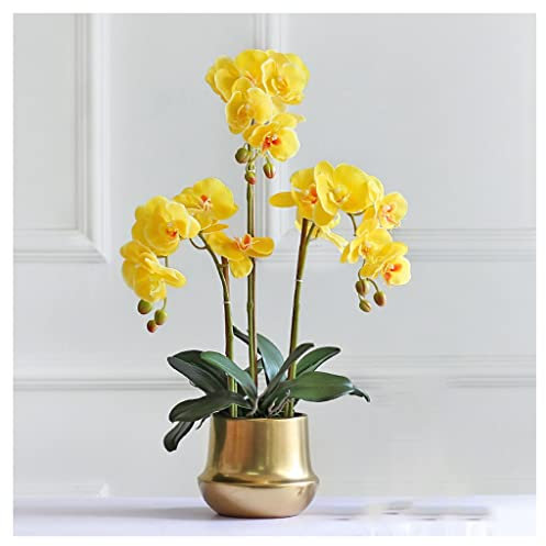 SdaryWare Fleurs artificielles en Vase, Fleurs artificielles décoratives, orchidées Phalaenopsis artificielles pour décoration de Centre de Table, Bouquet de Fleurs séchées, j,Yellow