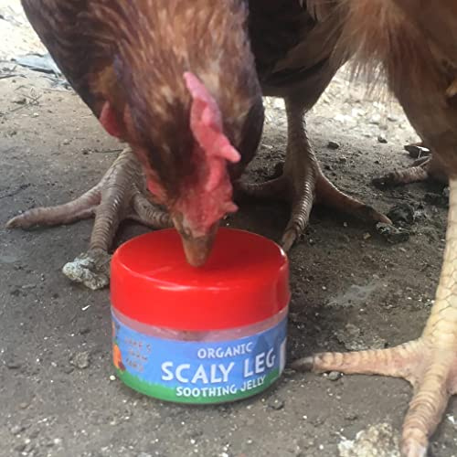 Jake's Farm Yard Organic Scaly Leg Soothing Jelly - Support Healing For Chickens and Poultry - Protects from Bacteria, Fungi, Irritating Mites (50ml Jar)