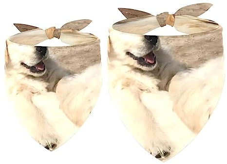Hundehalstücher im 2er-Pack, dreieckiger Haustierschal, transparenter Chiffon-Stoff, Halstuch für kleine, mittelgroße und große Hunde und Katzen,Tierischer Golden Retriever Hund
