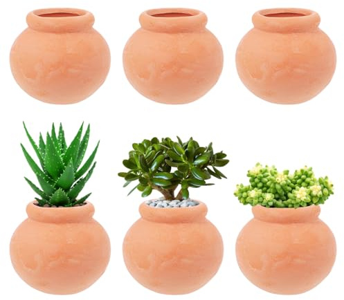 IWOWHERO Lot de 6 petits pots de fleurs en terre cuite pour plantes succulentes et cactus - Pots ronds miniatures en céramique au design simple pour bureau et salon