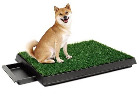 Coldshine Hundetoiletten Hundetoilette Hundeklo FüR Zuhause Hundeklo Hundetoilette Wohnung Hundetoilette Balkon Hundeklo Balkon Welpentoilette Hunde Klo Welpen Toilette Hundetoilette FüR Drinnen