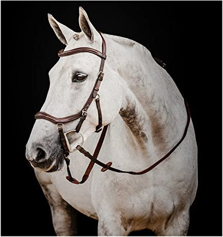 Horseware Unisex-Erwachsene Micklem DeluxeComp Zügel, Dunkles Havana, Pony