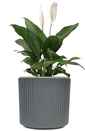 Sutars 15CM Grey Self-Watering Plastic Flower Pot with Drainage – Decorative Planter for Indoor and Outdoor Plants and Flowers