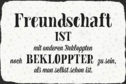 Schatzmix Blechschild Spruch Freundschaft ist andere Bekloppten Metallschild Wanddeko 20x30 tin Sign
