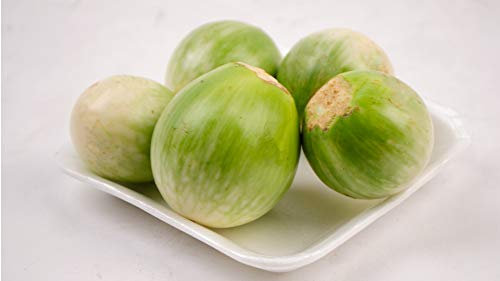 Thai Auberginen - 10 Frische Samen - Solanum virginianum