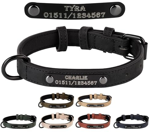 Jacks O Be Hundehalsband Halsband Name Gravur personalisiert Haustier Hund Katze Leder (Schwarz, M)