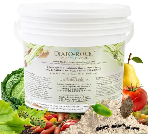DIATO-ROCK® Terra di Diatomee in Polvere per Prevenzione Insetti Parassiti delle Piante | Bruchi, Cicaline, Cimici, Formiche, Afidi | Corroborante 1,5 Kg | COLTIVAZIONE BIOLOGICA DI ALTA QUALITÀ