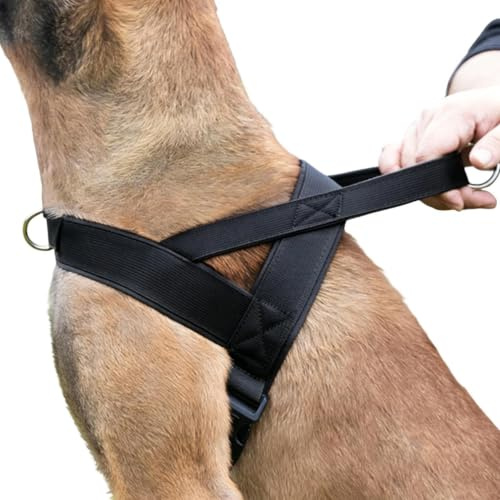 Ungtyb inget drag hundsele, andningsväst andas, med säkerhetsspänne, justerbar hunddragsele – för daglig utomhusträning, träning, resor, park, medium ras