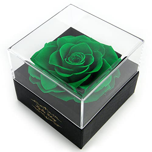 Kylin Glory Frische Schnittblume konservierte Rose für Frauen Mutter Frau Freundin - Blumengeschenk echte Rose Dekor für Muttertag Valentinstag Hochzeit Party Feier Geburtstag Jahrestag (grün)