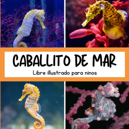 Libre illustrado para ninos - Caballito de mar: Caballito de mar en imágenes - Niños de 2 a 5 años
