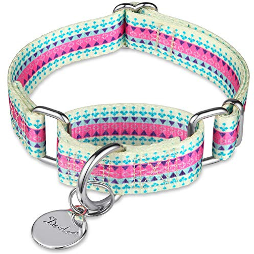 Dazzber Martingal Halsbänder für Hunde, Einstellbar-Heavy Duty- Weiche-Glatte-Leichtes Gehen Sie den Hund für Große/Klein Hunde (Mittlere, 2.5cm Breit, Süßigkeit Lila)