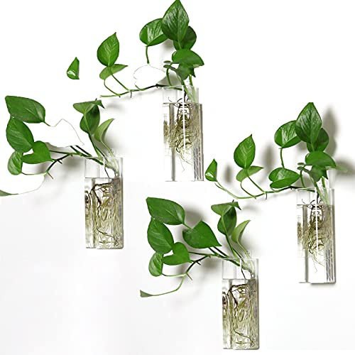Pacdona Blumentöpfe zum Aufhängen an der Wand, Glas-Terrarien – rechteckige Form, Pflanzenhalter, Luftpflanzen, Sukkulenten, Pflanzgefäße, Blumen, Glas, Wandvase, Behälter für Pflanzen, Dekoration und
