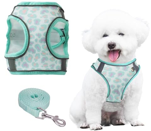 PawSailor Extra Kleines Hundegeschirr Mit Leine, Step-In Air Mesh Blumendruck, Kein Ziehen, Weste, Verstellbar, Reflektierend, Weich Gepolstert, Ausbruchsicher, Haustiergeschirr, Grün, XXXS