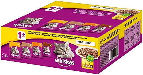 whiskas Katzenfutter Nassfutter Adult 1+ Geflügelauswahl in Gelee, 80 x 100g Mega Pack