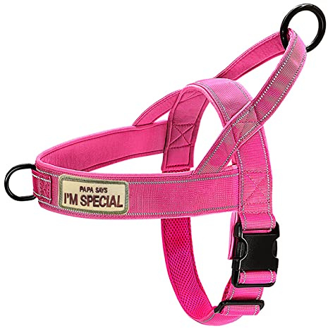 QIFBYFB No Pull Dog Harness Pink for Small Medium Large Sized Dog, Reflective Escape Proof Adjustable Dog Harnesses with 2 Patch, L