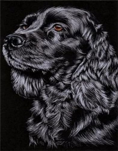 Malen Nach Zahlen Erwachsene Süßer Spaniel DIY Handgemalt Ölgemälde Leinwand Kits für Erwachsene Kinder mit Pinseln Acrylpigment Zeichnung Paint by Numbers für Haus Wand Decor 60x75cm,mit Rahmen
