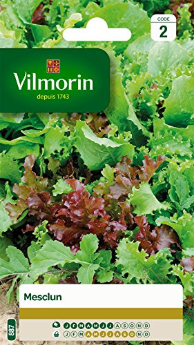 Vilmorin 3680042