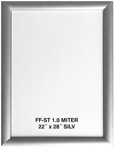 22x28 Silver Aluminum Snap Frame 1.0 Profile, Wall Mounted
