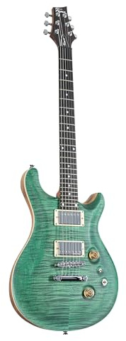 Fame Forum IV Classic E-Gitarre, elektrische Gitarre mit Humbucker Tonabnehmer, Electric Guitar mit grüner Riegelahorndecke, Forum Double Cut