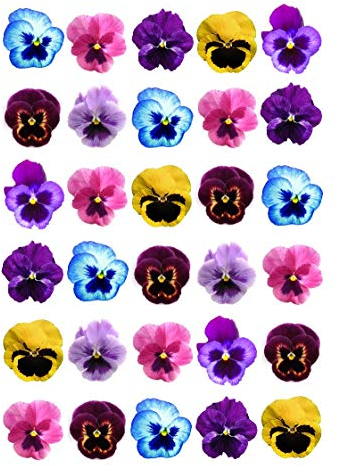 Lot de 30 pensées décoratives comestibles à poser pour cupcakes et gâteaux