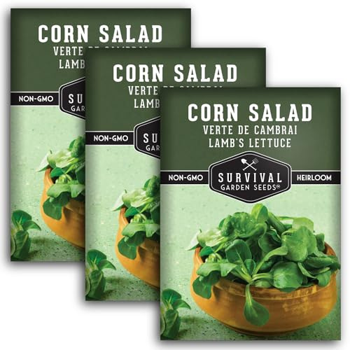 Corn Salad Seeds for Planting - Mache, Lamb's Lettuce - Cold Hardy Salad Greens - Heirloom Verte de Cambrai Variety - Non GMO Green Leafy Vegetable - Survival Garden Seeds (3 Packs)
