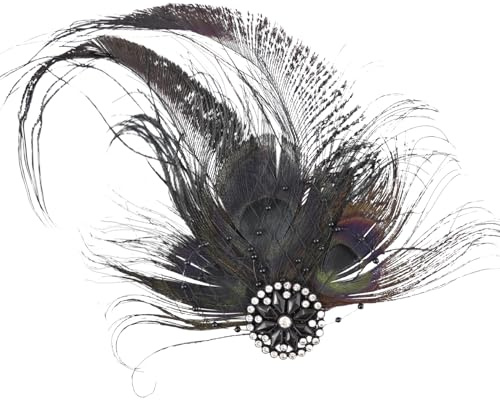FERCAISH Frauen Feder Mesh Haarspange, 20er Jahre Haarschmuck, Mesh Hut Schwarze mit Metallclip, Fascinator Damen Kopfbedeckung, für Geburtstag Hochzeit Party