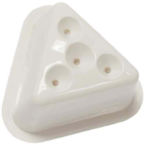 Natural Catch Fruit Fly Traps - 2 Traps