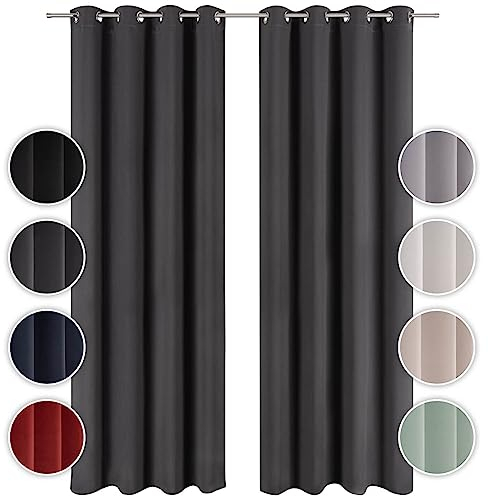 Blumtal Verdunklungsvorhänge 2er Set - Thermovorhang Hitzeschutz - Vorhang Blickdicht mit Ösen - Gardinenschals mit Schlaufen - Gardinen 225x140cm - Schlafzimmer Gardinen und Vorhänge - Anthrazit
