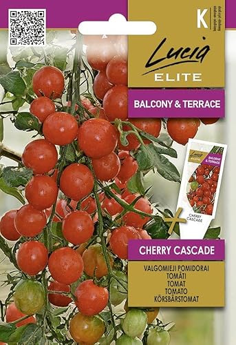 Lucia Elite | Tomate - CHERRY CASCADE Semillas de huerto | Tomates colgantes | Precoces frutos rojos dulces | Para balcón y macetas | Semillas de tomate | 1 sobre