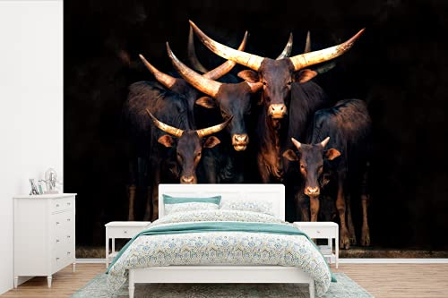 MuchoWow Papier peint Vache - Watussie - Taureau - Noir Papier peint photo 330x220 cm Papier peint imprimé