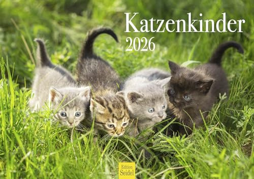 Edition Seidel Calendario premium para niños de gatos, 2026, DIN A3, calendario de pared, calendario para gatos, gatos, niños, gatitos, animales y mascotas