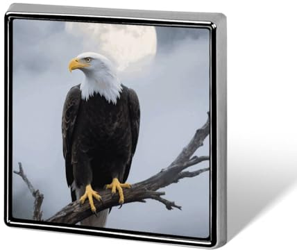 1 Zoll große, individuell gestaltete Adler-Vollmond-Anstecknadeln für Anzüge, lustige Broschen für Damen und Herren, Vintage-Anstecknadeln für Taschen, Jacken, Rucksäcke, Hüte, Knopfabzeichen-Kollekt