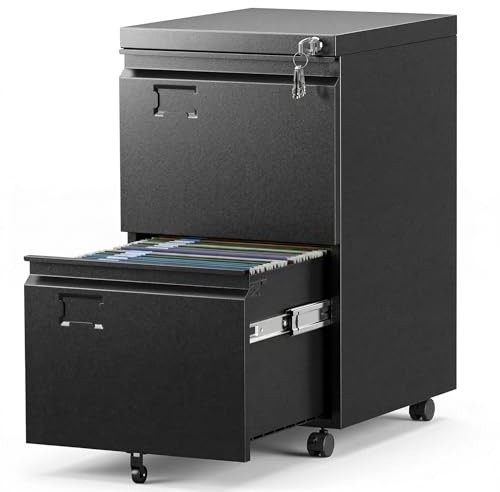 2 Drawer File Cabinet with Lock, Heavy-Duty Metal Rolling Filing Cabinet for Home Office, Under Desk Printer Stand with 5 Wheels, Required Assembly with Video Guide, Fits Letter/Legal Size, Black