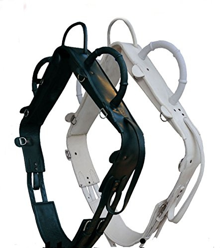 AMKA Voltigiergurt Master Gurt zum Voltigieren Voltigierbedarf Gr. Warmblut 057/86, Weiss