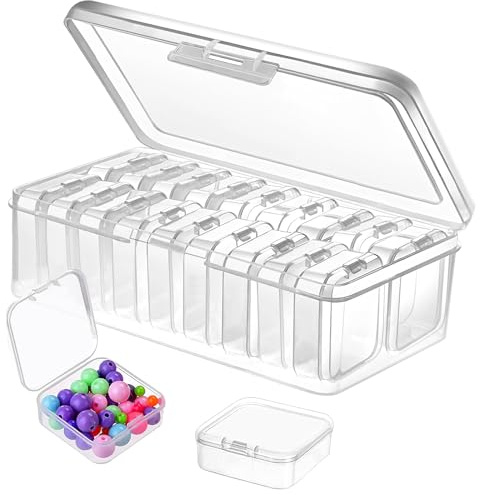 19 kleine Aufbewahrungsboxen, Transparent Klein Plastikboxen | 1 Große Aufbewahrungsbox und 18 Weitere mit Klappdeckel für Schmuckstücke, Perlen, Pillen und andere Kleinigkeiten