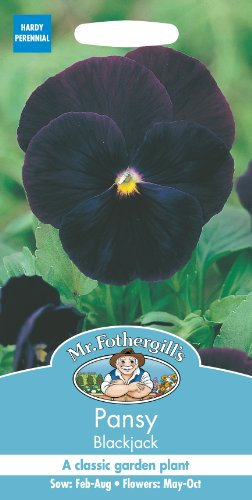 Mr. Fothergill's Pansy Blackjack Seeds