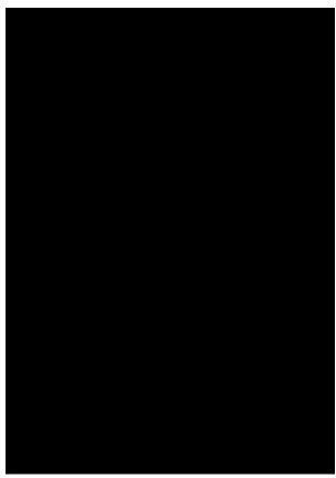 Plexiglas® Zuschnitte - Platten - Acrylglas 3mm glänzend mit Schutzfolie, Farbe:Schwarz, Größe:DIN A5