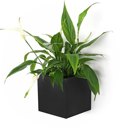 KalaMitica - Cube Magnétique Noir, Cache-Pot ou Récipient de Rangement pour Tableau Magnétique, Réfrigérateur, Armoire Métallique - 9,5 x 9,5 x 9,8 cm