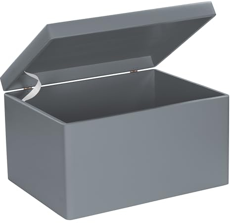 LAUBLUST Große Holzkiste mit Deckel - Allzweck-Kiste aus Holz - Aufbewahrungskiste | Spielzeug-Truhe - Geschenk-Verpackung | Deko-Kasten zum Basteln FSC® (Grau, ca. 40 x 30 x 24 cm | XL)