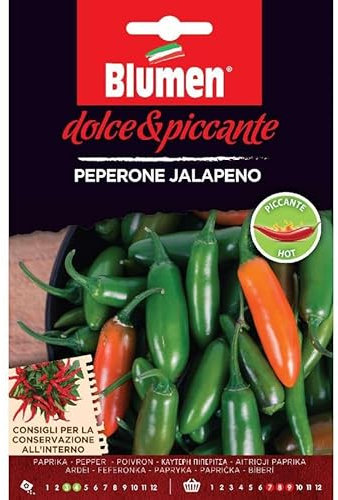 SEMI DI PEPERONE JALAPENO PICCANTE PEPERONCINO BLUMEN